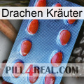 Drachen Kräuter 06